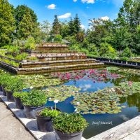 Botanická záhrada v Košiciach, Fotograf: Jozef Mareček (https://www.facebook.com/jozef.marecek.94) Botanická záhrada v Košiciach
