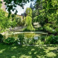 Botanická záhrada v Košiciach, Fotograf: Jozef Mareček (https://www.facebook.com/jozef.marecek.94) Botanická záhrada v Košiciach