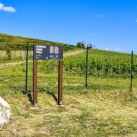 Glamping Domik Tokaj, Fotograf: Jozef Mareček (https://www.facebook.com/jozef.marecek.94) Glamping Domik Tokaj